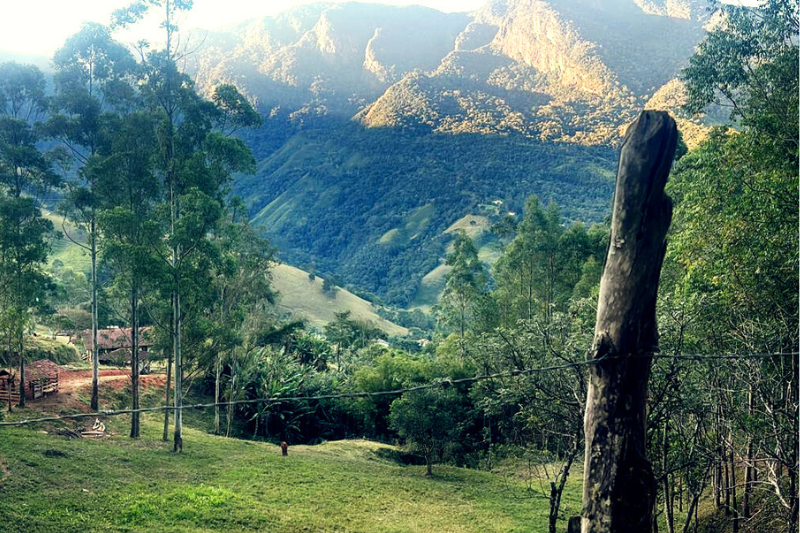Peregrinos caminhando