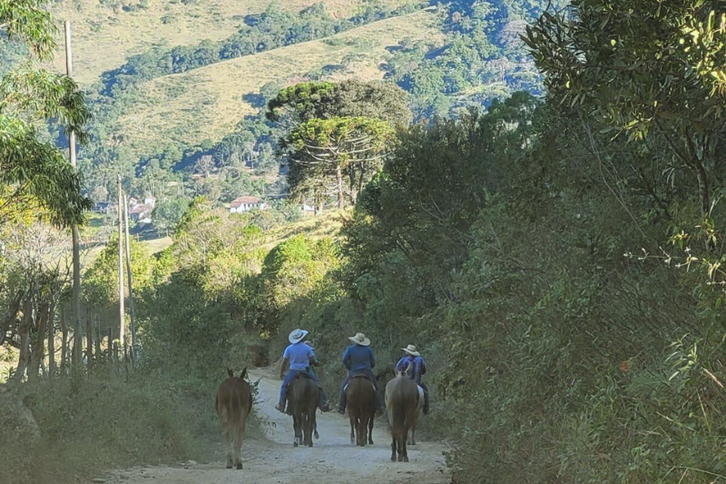 Peregrinos caminhando